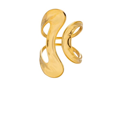 Anillo Rio de Janeiro