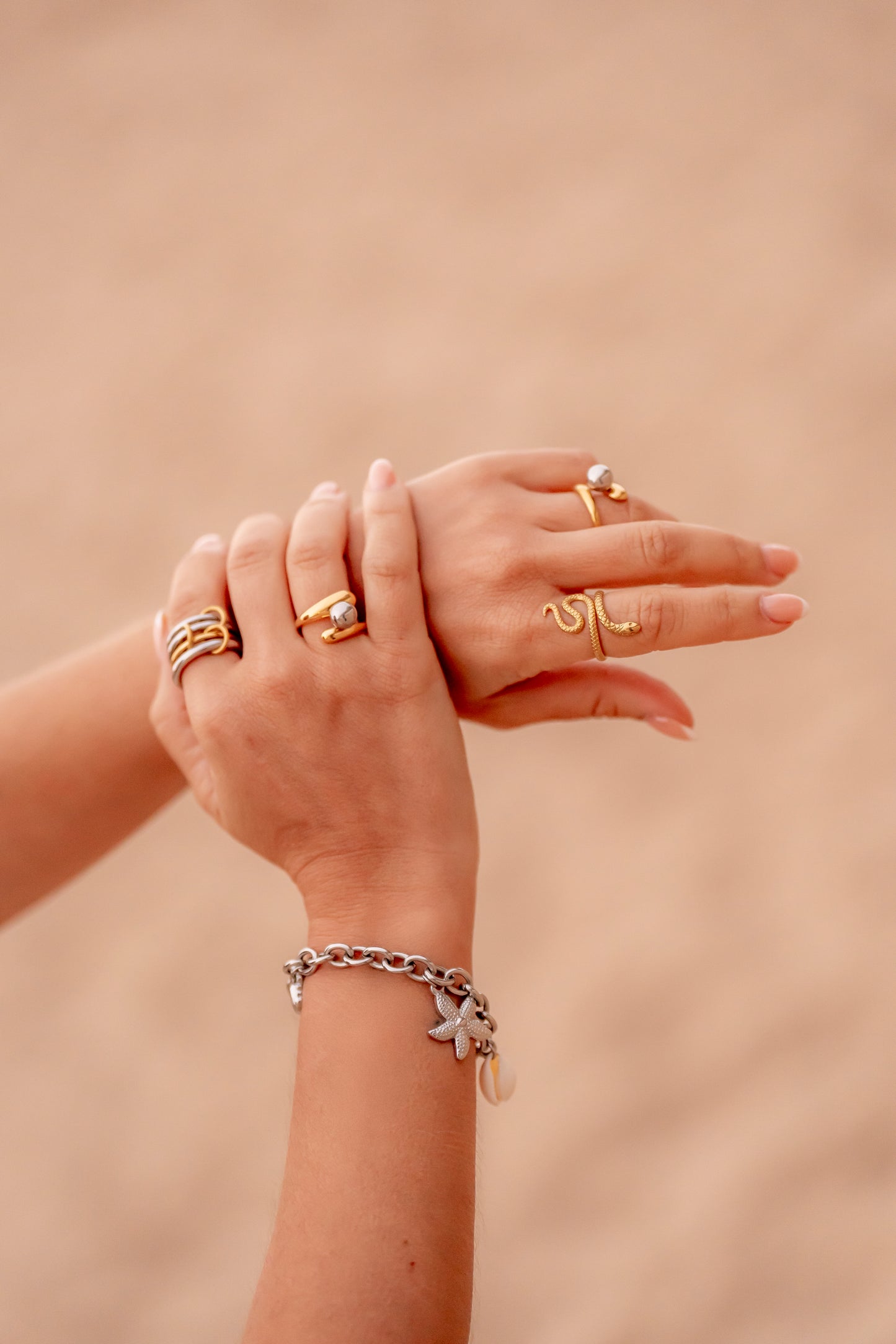 Anillo Orilla